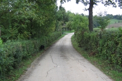 2009-09-17 13.42.54